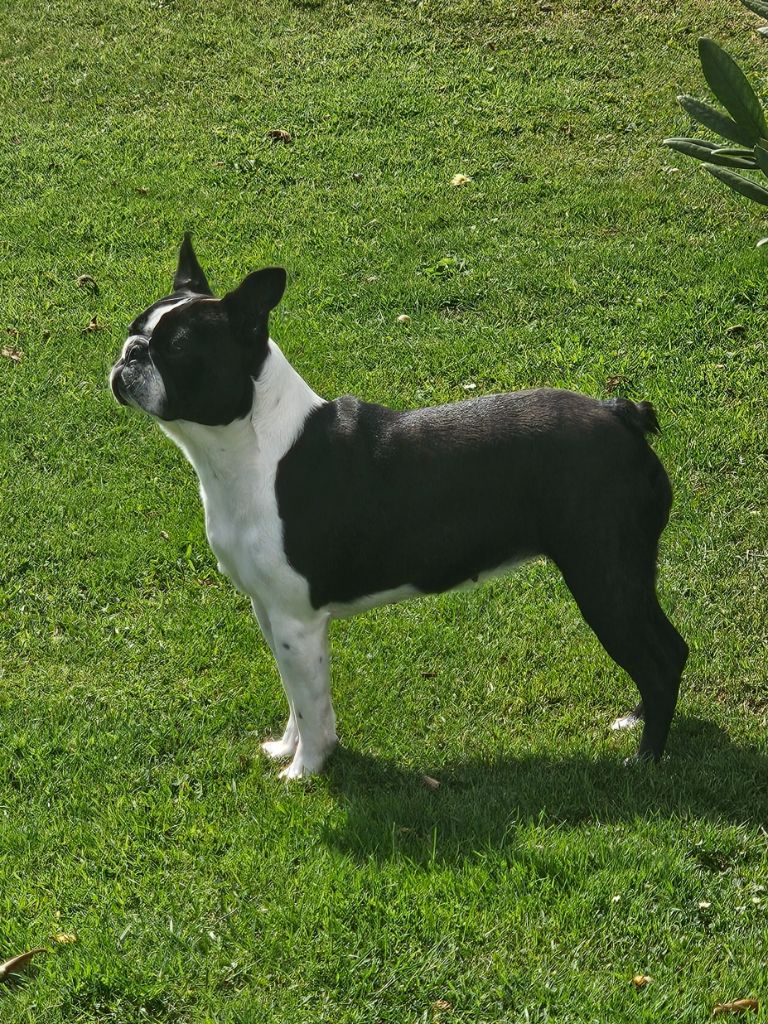 Ubeline Du Domaine De La Cour Souveraine